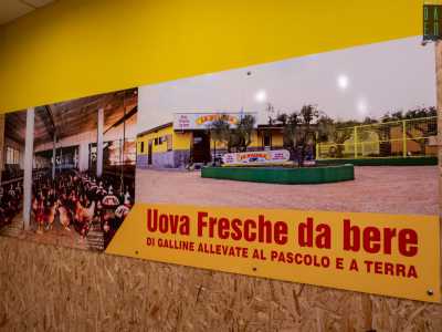 ...e grossi cartelloni sulle pareti che esaltano la freschezza della merce: una delle scritte recita chiaramente "uova da bere"
